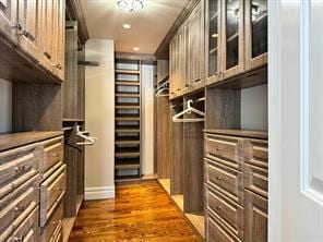 2 Enclave Ct, Dix Hills, NY 11746 - walk in closet featuring dark wood-style flooring
