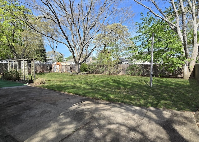 view of yard with a patio and a fenced backyard
