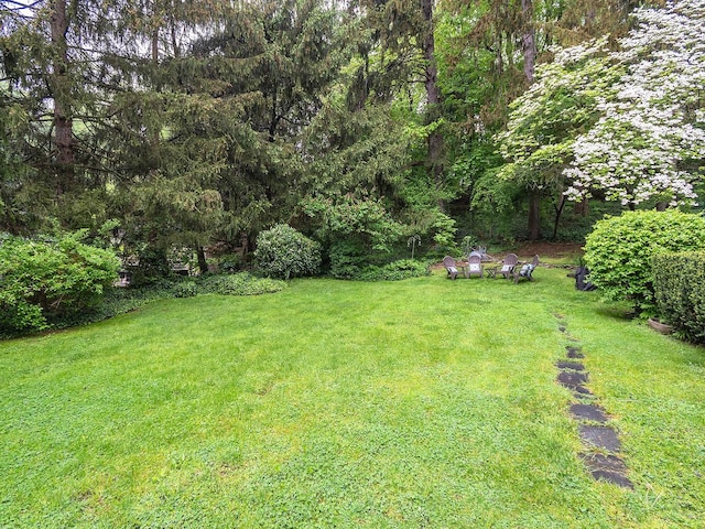 view of yard