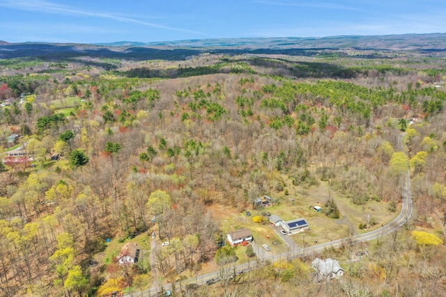156 Roosevelt Ave, Cairo, NY 12413 - photo 2