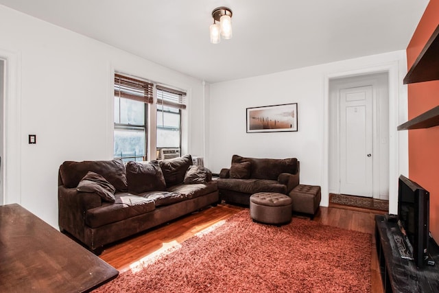 2199 Holland Ave Unit 4D, Bronx, NY 10462 - living room featuring wood finished floors