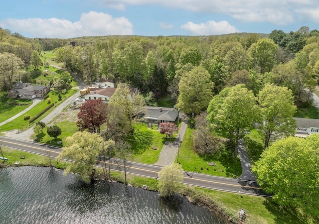 119 W Hunns Lake Rd, Stanfordville, NY 12581 - bird's eye view of a nearby body of water and a forest