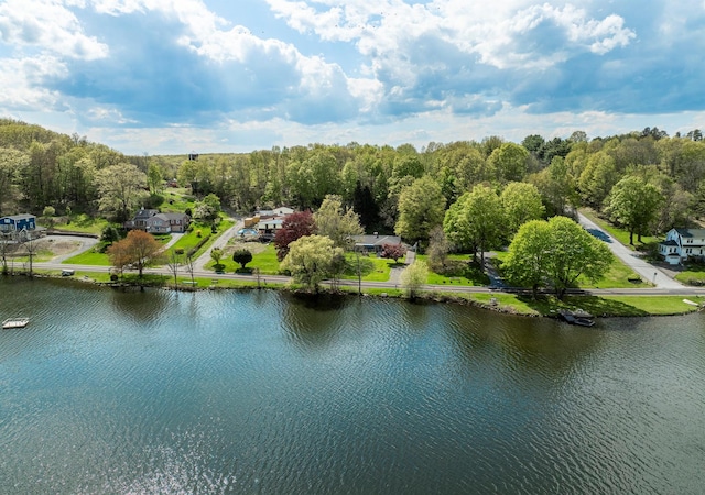 119 W Hunns Lake Rd, Stanfordville, NY 12581 - drone / aerial view of a large body of water