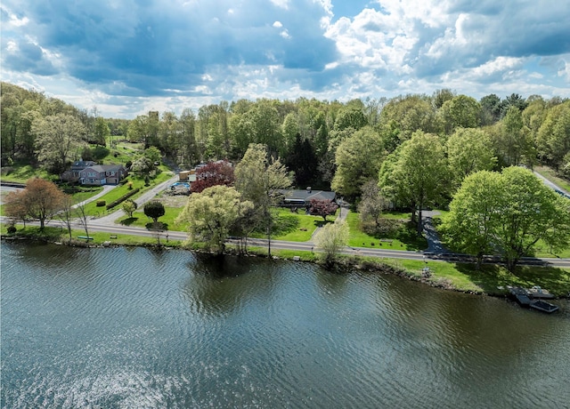119 W Hunns Lake Rd, Stanfordville, NY 12581 - bird's eye view of a large body of water