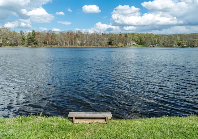 119 W Hunns Lake Rd, Stanfordville, NY 12581 - water view with a heavily wooded area