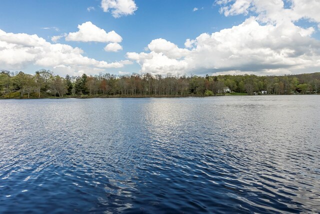 119 W Hunns Lake Rd, Stanfordville, NY 12581 - water view with a forest