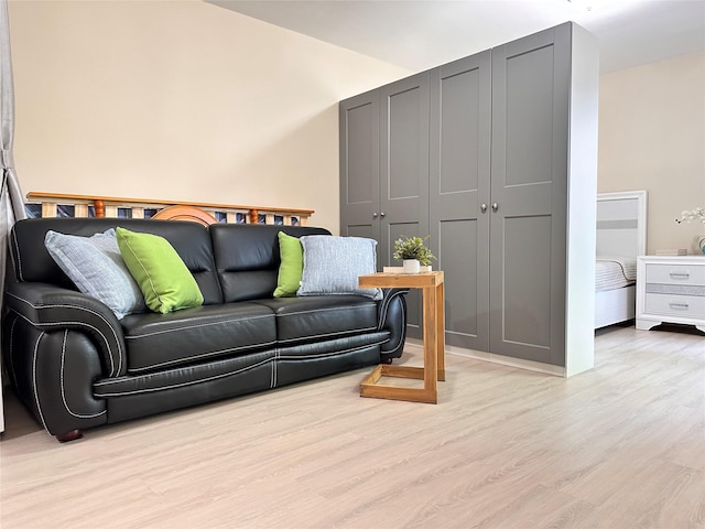 living area featuring light wood finished floors