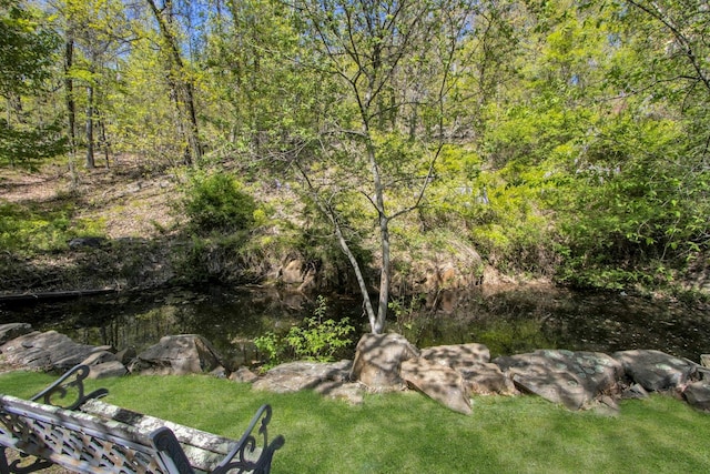 405 Christian Herald Rd, Valley Cottage, NY 10989 - photo 33
