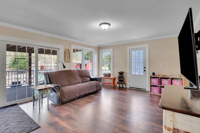 living area featuring crown molding and wood finished floors