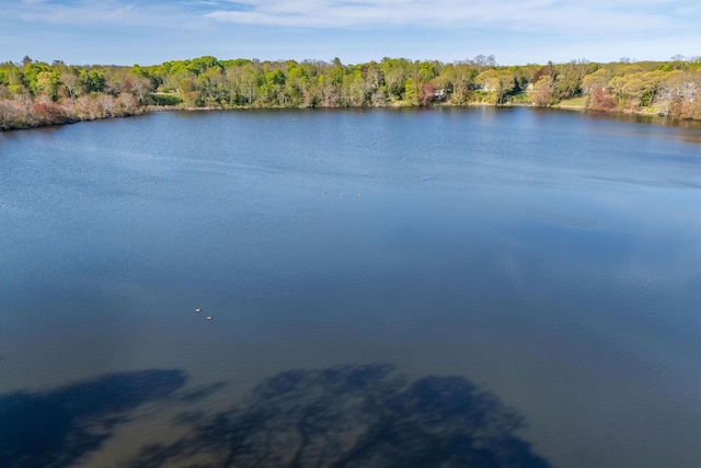 2455 New Suffolk Ave, Mattituck, NY 11952 - photo 39
