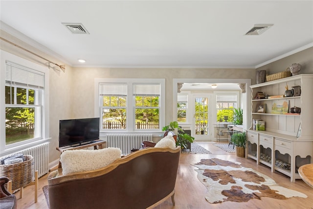 4 Carter Ln, East Quogue, NY 11942 - photo 19