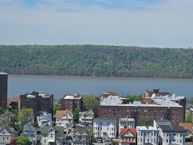water view featuring a wooded view