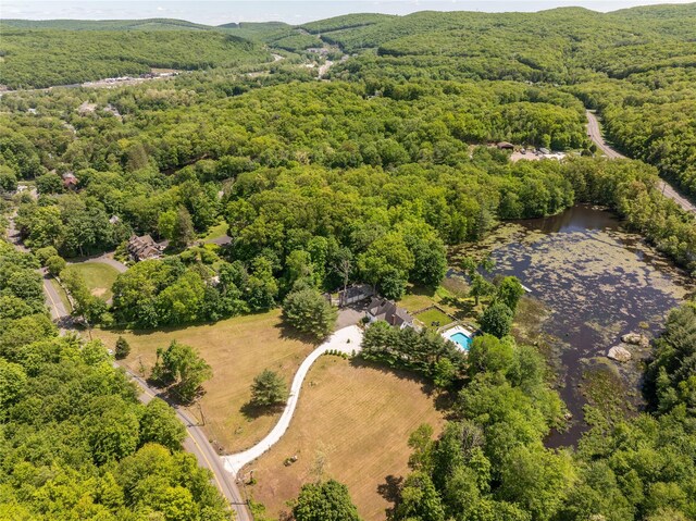 81 Eagle Valley Rd, Sloatsburg, NY 10974 - photo 8