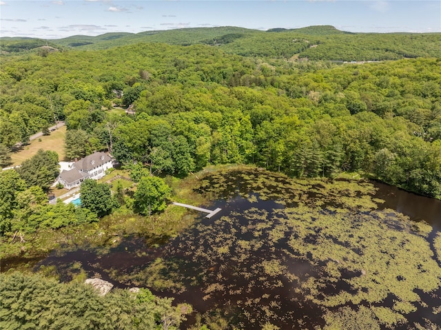 81 Eagle Valley Rd, Sloatsburg, NY 10974 - photo 48