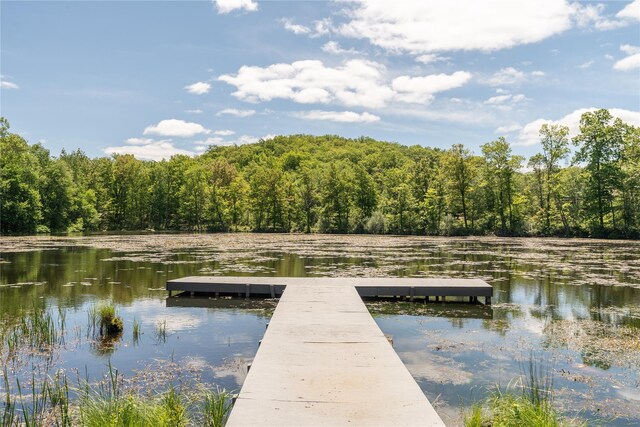 81 Eagle Valley Rd, Sloatsburg, NY 10974 - photo 49