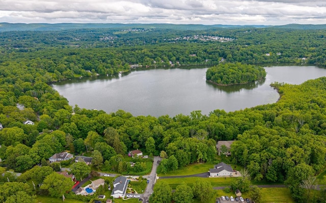 216 Maple Ave, Monroe, NY 10950 - bird's eye view of a forest and a large body of water