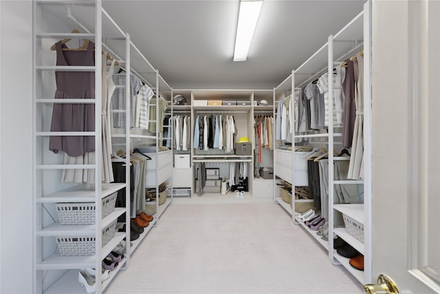 216 Maple Ave, Monroe, NY 10950 - walk in closet with carpet flooring