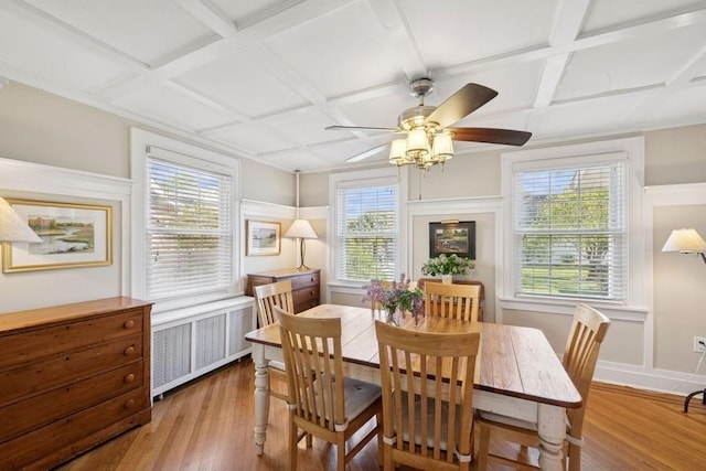 dining space with coffered ceiling, ceiling fan, hardwood / wood-style flooring, radiator, and baseboards