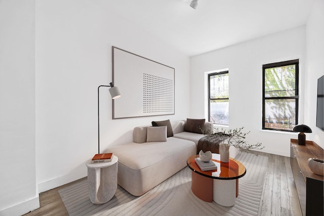 living area with wood finished floors