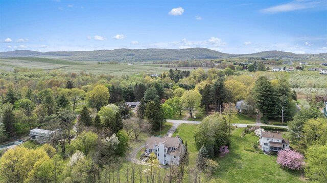 14 Clarks Ln, Milton, NY 12547 - photo 41