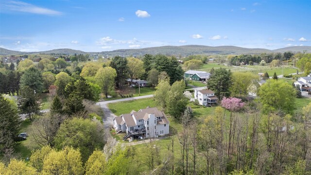 14 Clarks Ln, Milton, NY 12547 - photo 42
