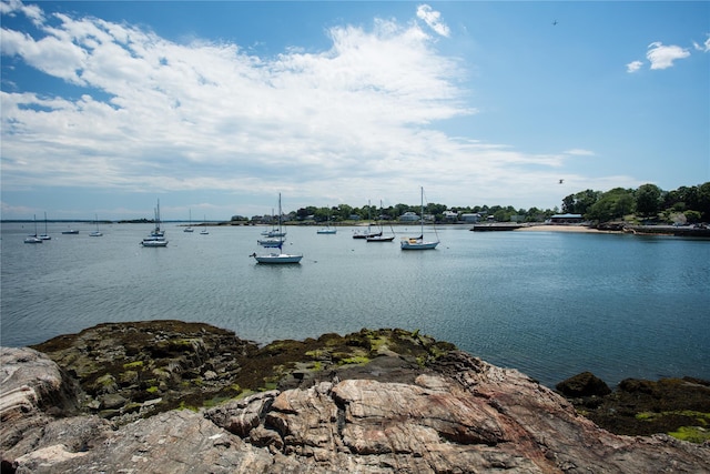 90 Union St Unit 1A, New Rochelle, NY 10801 - water view