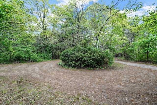 1564 Illinois Ave, Bay Shore, NY 11706 - view of yard featuring driveway and a forest view