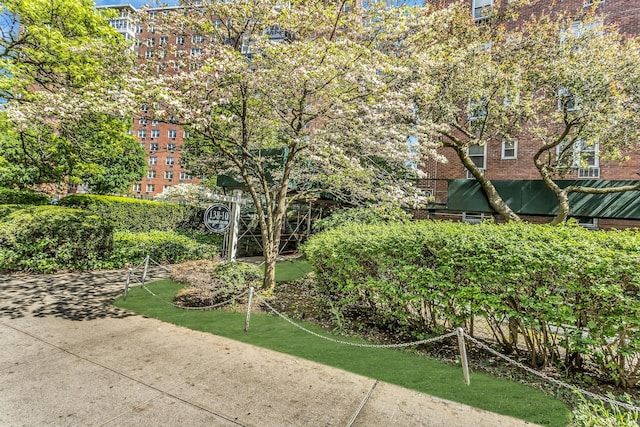 138-10 Franklin Ave Unit 9J, Flushing, NY 11355 - view of green lawn