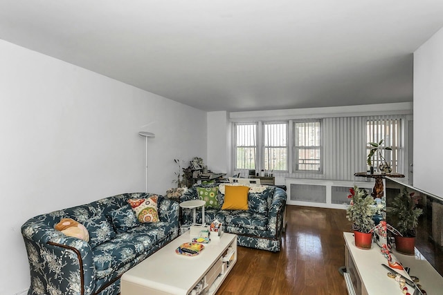 138-10 Franklin Ave Unit 9J, Flushing, NY 11355 - living area with dark wood-type flooring
