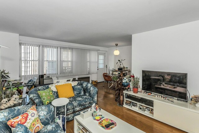 138-10 Franklin Ave Unit 9J, Flushing, NY 11355 - living room featuring wood finished floors