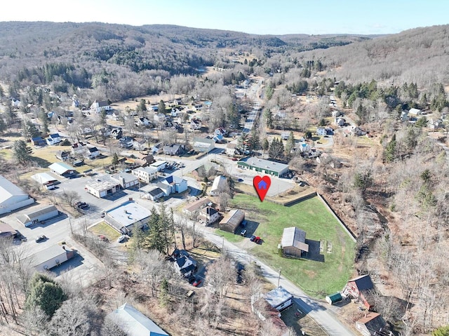 9 Creamery Rd, Livingston Manor, NY 12758 - photo 33