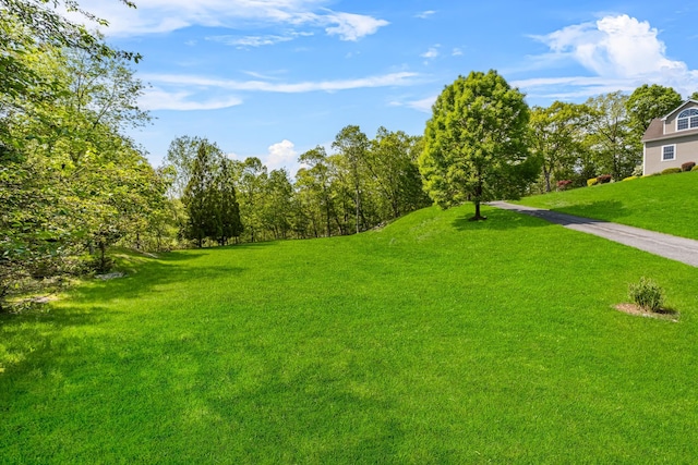 37 Shallow Stream Rd, Carmel, NY 10512 - view of green lawn