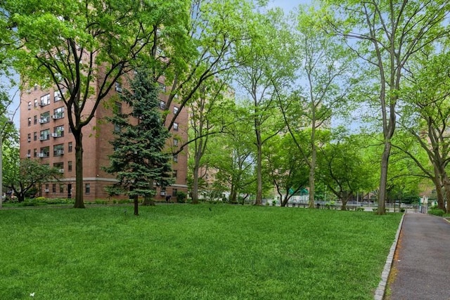 21-55 34th Ave Unit 3C, Long Island City, NY 11106 - surrounding community with a lawn