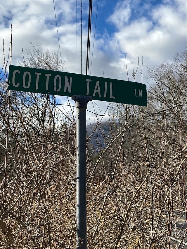 Rte 212, Saugerties, NY 12477
