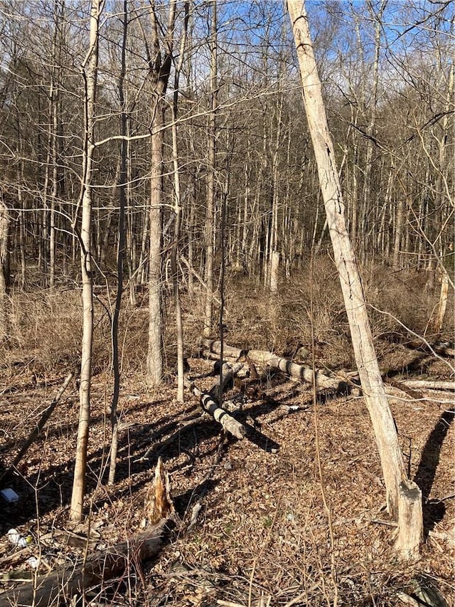 Rte 212, Saugerties, NY 12477