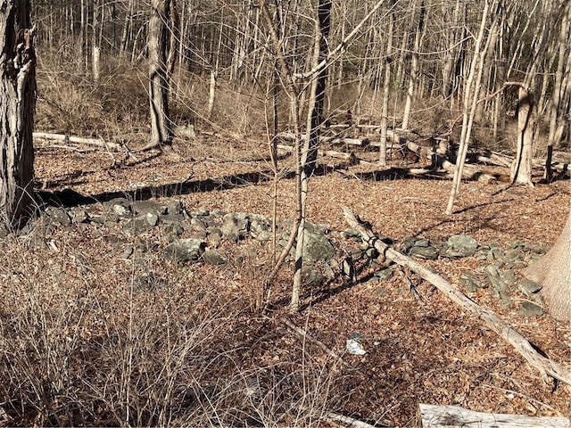 Rte 212, Saugerties, NY 12477