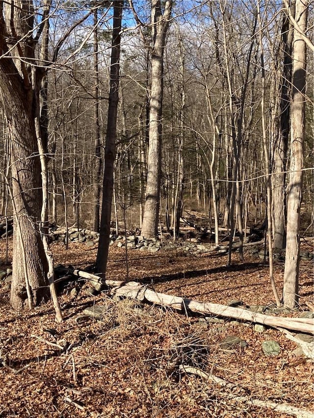 Rte 212, Saugerties, NY 12477