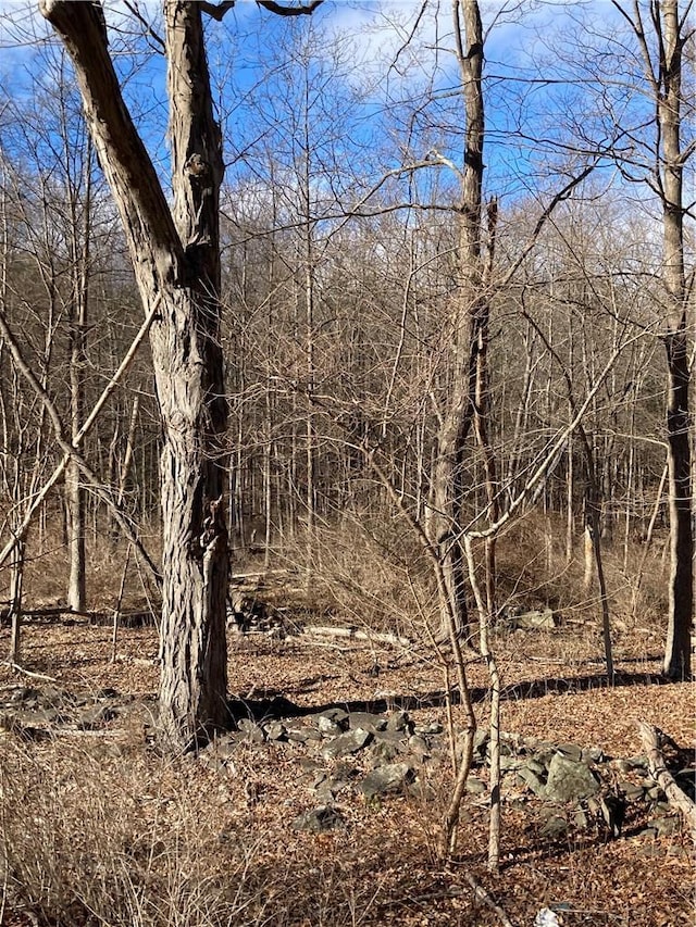 Rte 212, Saugerties, NY 12477