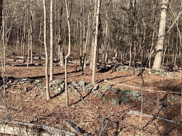 Rte 212, Saugerties, NY 12477