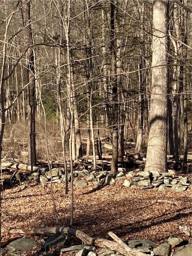 Rte 212, Saugerties, NY 12477