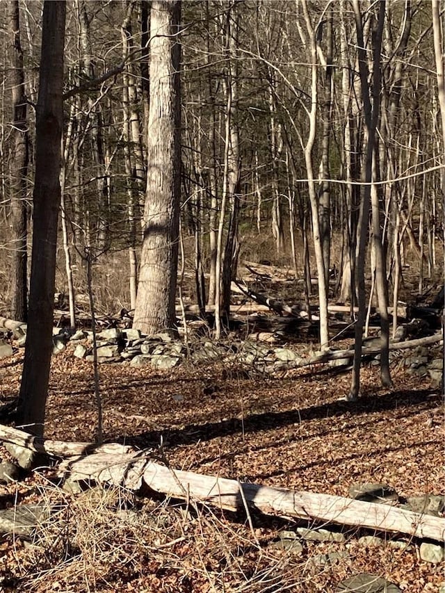Rte 212, Saugerties, NY 12477