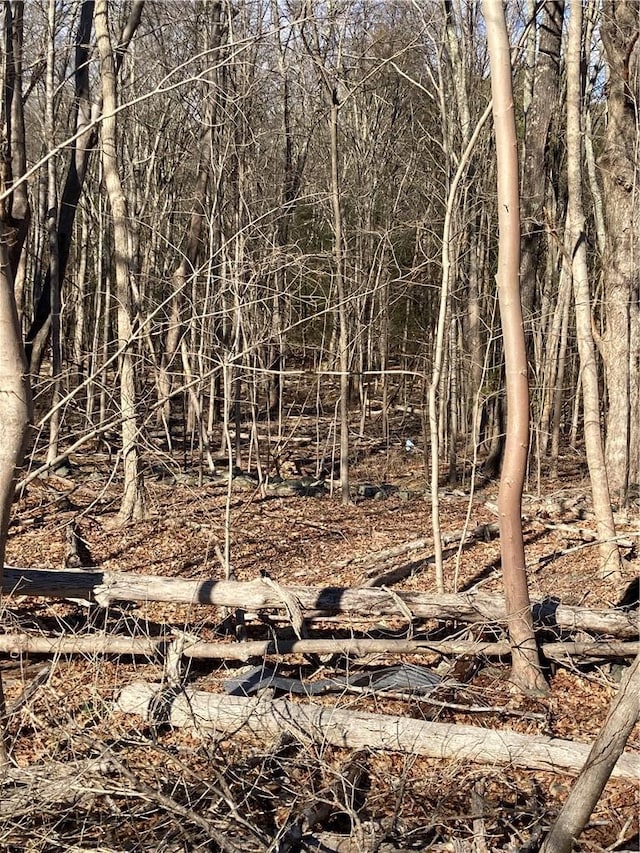 Rte 212, Saugerties, NY 12477