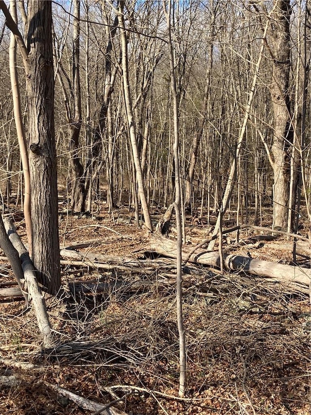 Rte 212, Saugerties, NY 12477