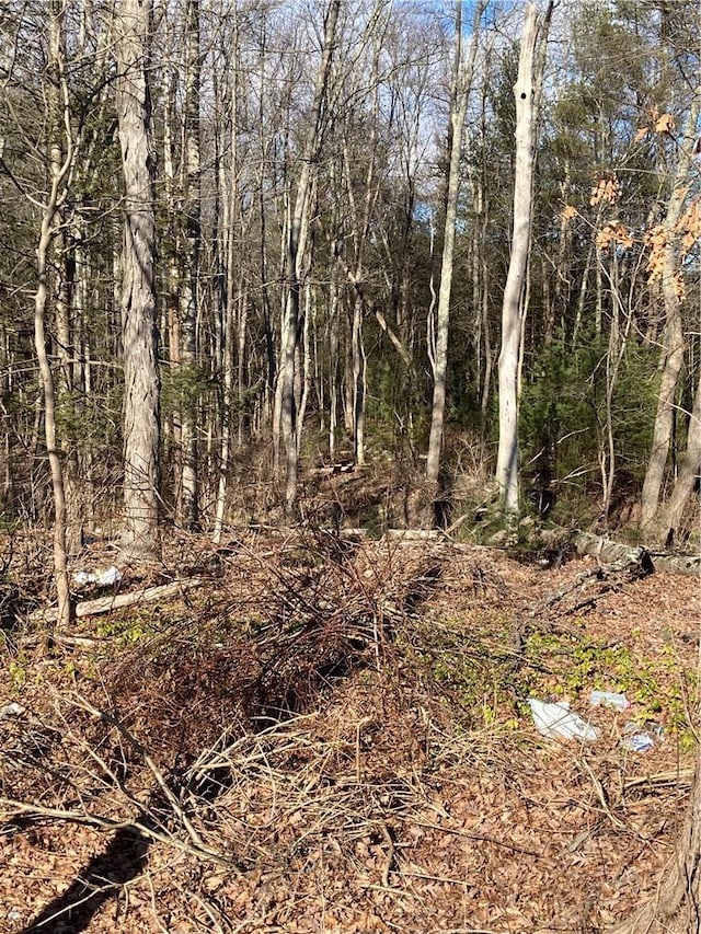 Rte 212, Saugerties, NY 12477