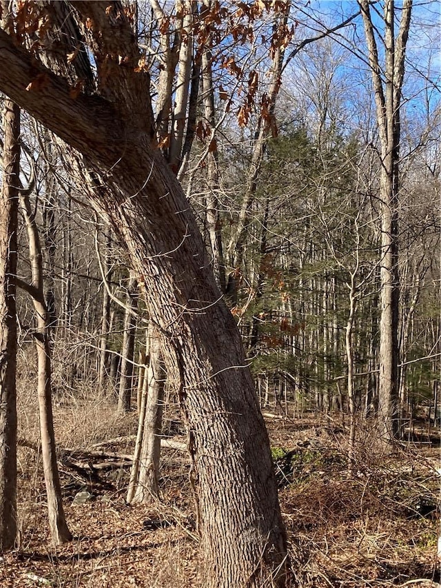 Rte 212, Saugerties, NY 12477