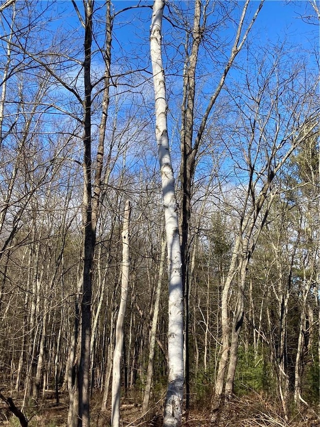 Rte 212, Saugerties, NY 12477