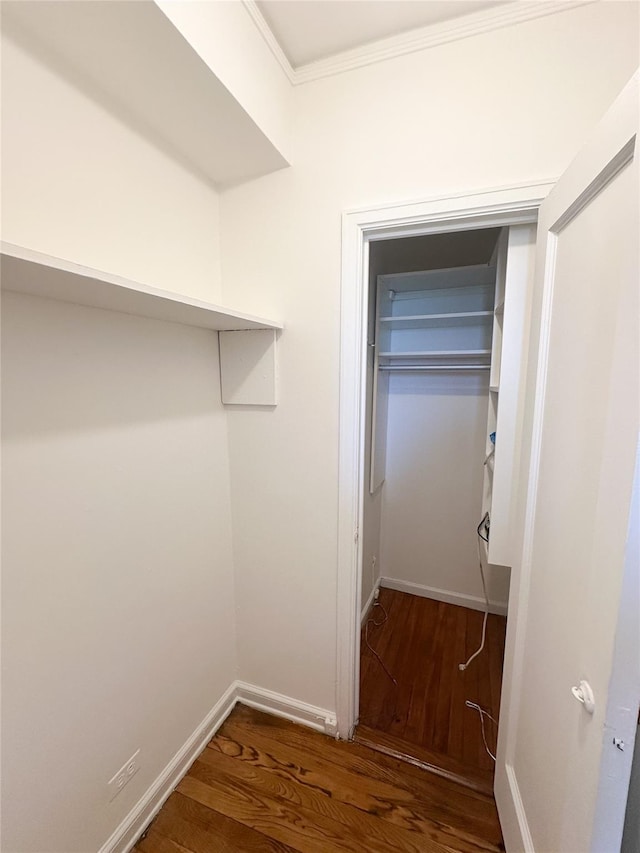 spacious closet featuring wood finished floors