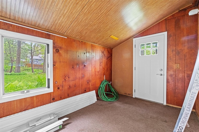 exercise area featuring lofted ceiling, wood walls, carpet floors, and wooden ceiling