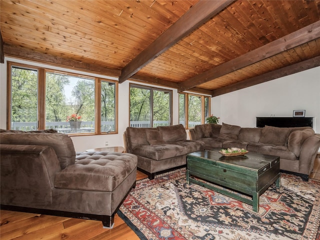 living area featuring wood finished floors and wood ceiling