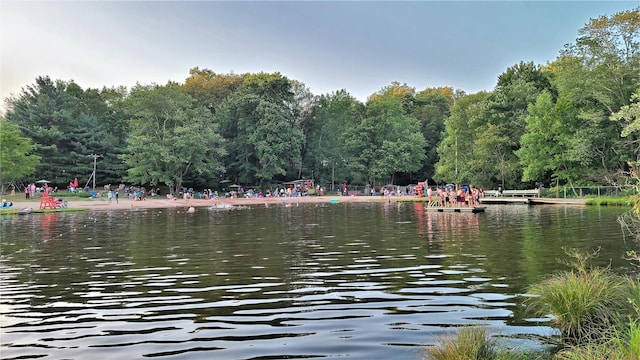 112 E Thompson Pl, Smallwood, NY 12778 - water view with a heavily wooded area
